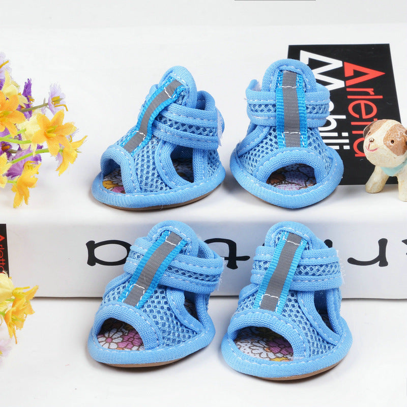 Small dog shoes