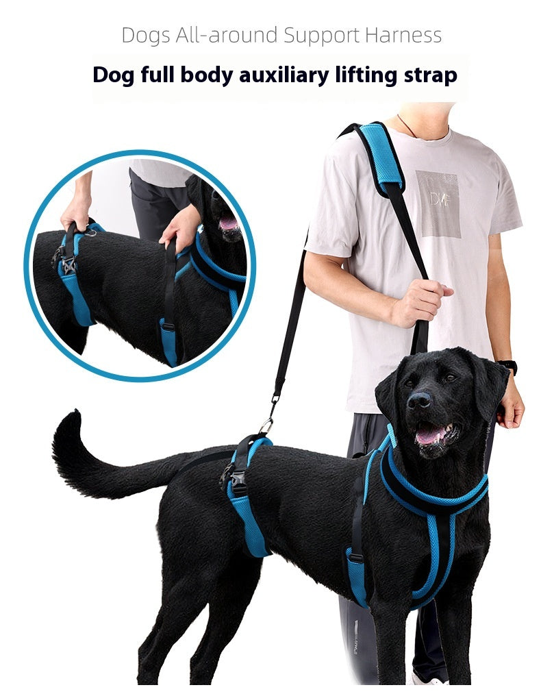 Pet Supplies Dog Auxiliary Strap