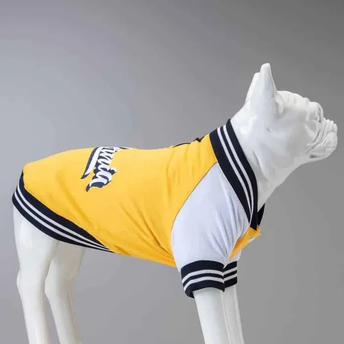 Lindo College California Dog Sweatshirt for Small, Medium & Large Breeds