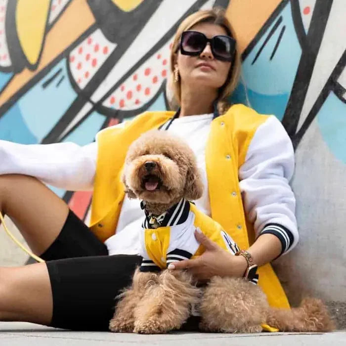 Lindo College California Dog Sweatshirt for Small, Medium & Large Breeds