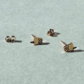Boba Milk Tea Earring Studs