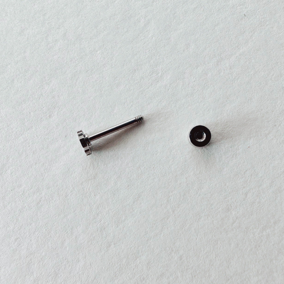 Flat Back- Teeniest Tiniest Monstera Deliciosa Earring Studs