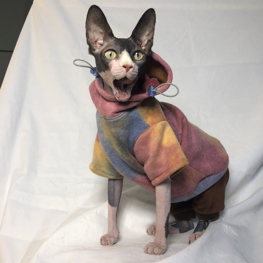 Pet Cats And Dogs Plus Velvet Warmth And Thick Tie-dye Hooded Sweater In Autumn And Winter