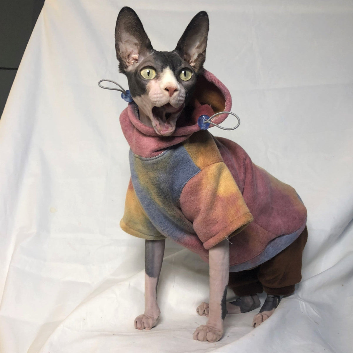 Pet Cats And Dogs Plus Velvet Warmth And Thick Tie-dye Hooded Sweater In Autumn And Winter