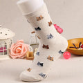 Autumn New Sock Animal Cartoon Cat Lovely Socks Combed Out Of Cotton Fashion Cute Short Socks Cat Print Stylish Color Cute Casual Socks For Men And Women