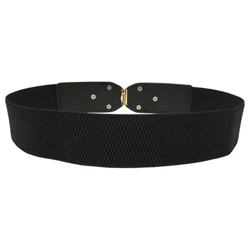 Elegant Wide Fabric Strap  Silver Metal Buckle Belts For Women Trendy Women's Fashion Stretchable Classic Color Belts