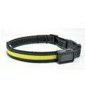 Fluorescent dog collar