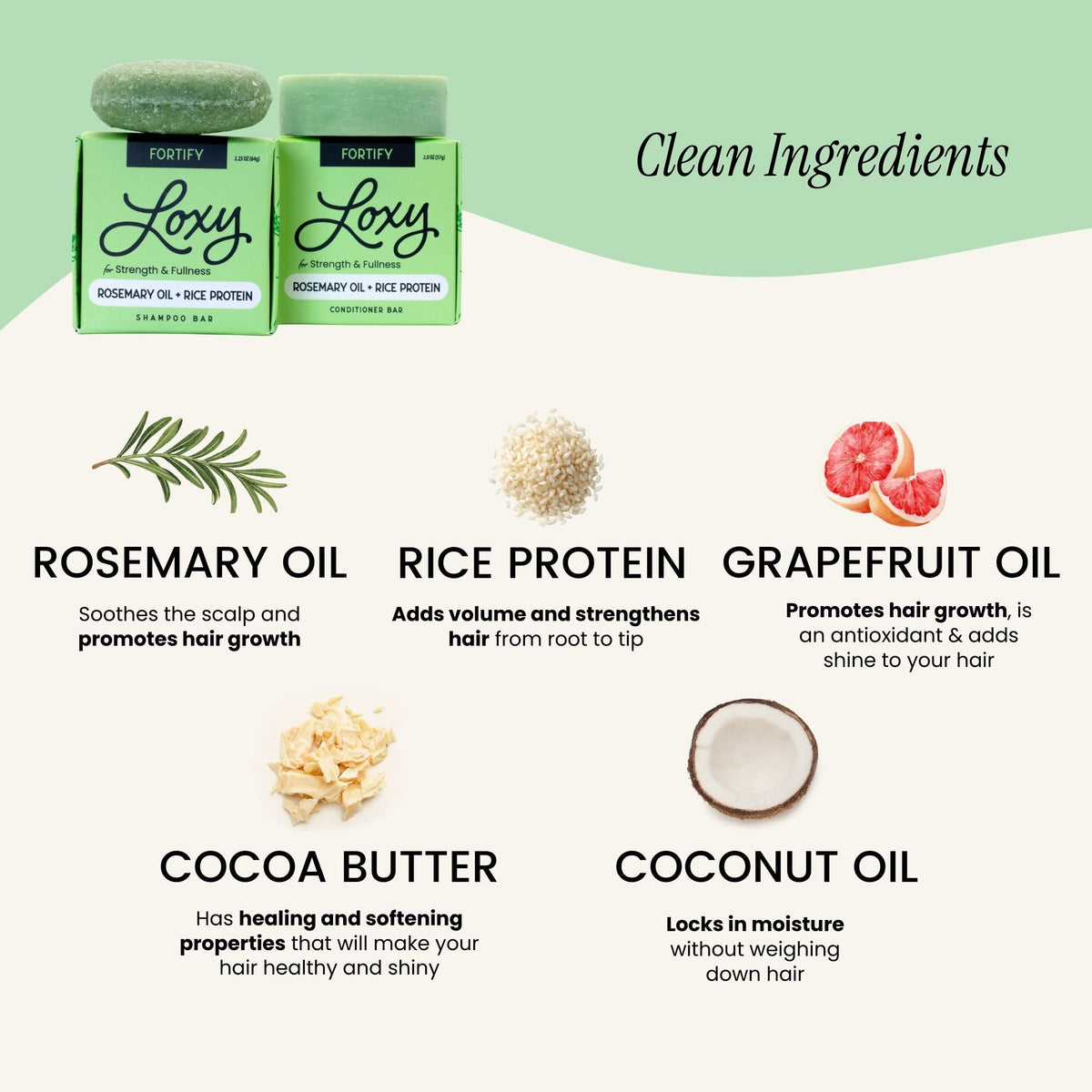 Fortify: Shampoo Bar & Conditioner Bar for Strength and Fullness with Rosemary Oil & Rice Protein