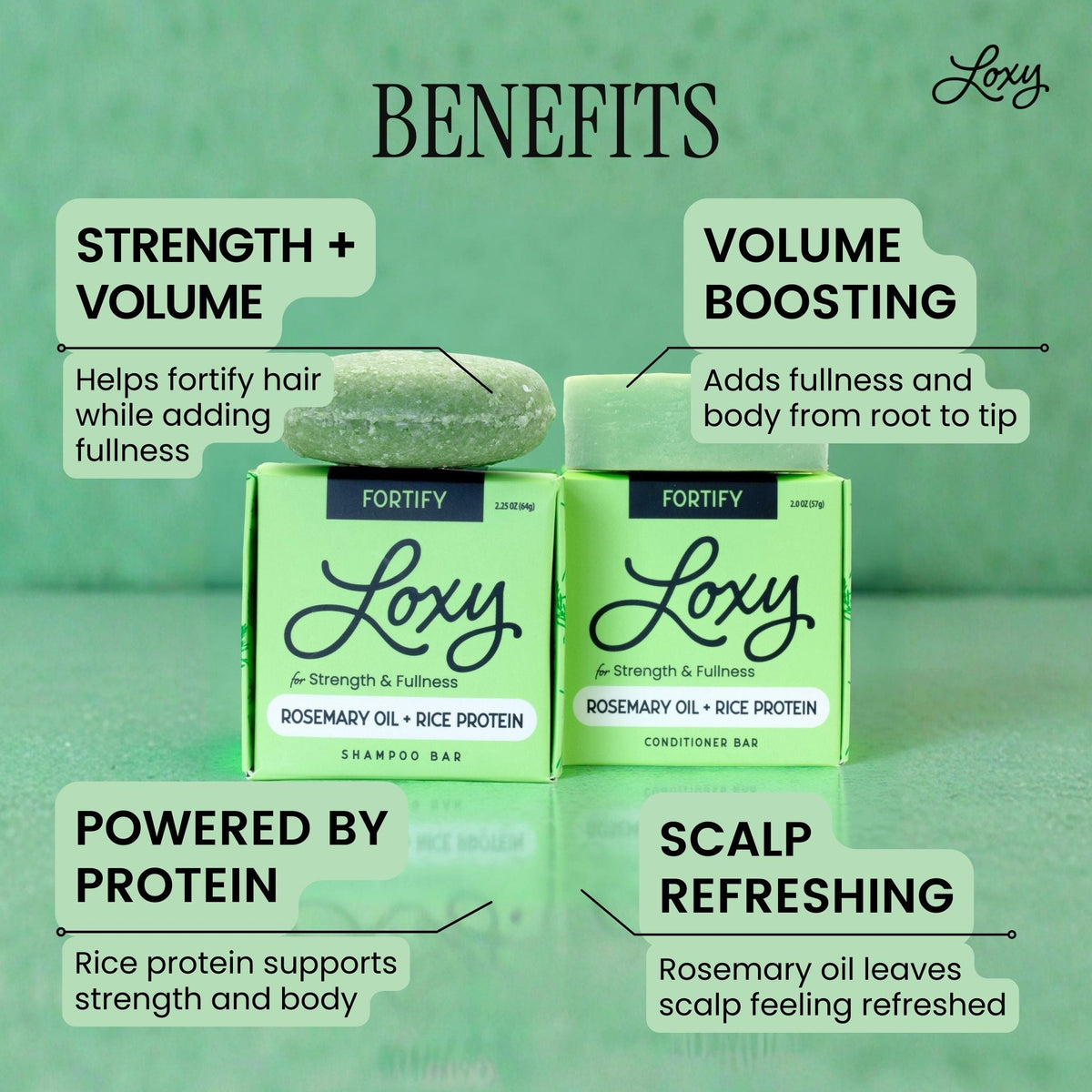 Fortify: Shampoo Bar & Conditioner Bar for Strength and Fullness with Rosemary Oil & Rice Protein