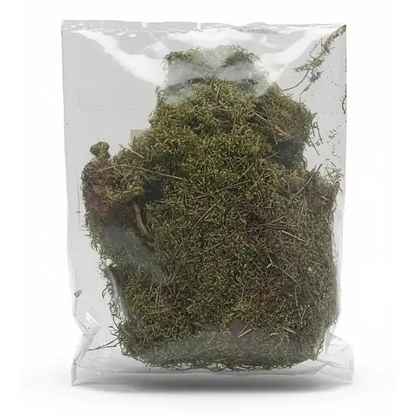 Atakan Petshop Terrano Moss for Reptiles & Terrariums 100g