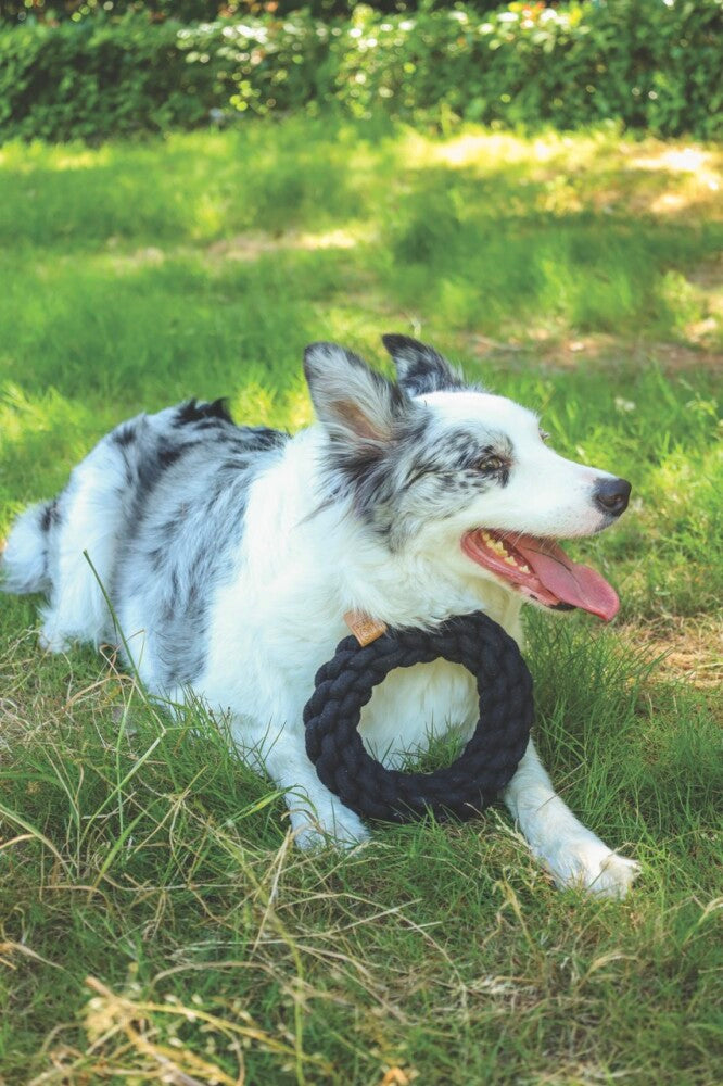 M-Pets Coto Knotted Ring Dog Toy 18x18x5 cm