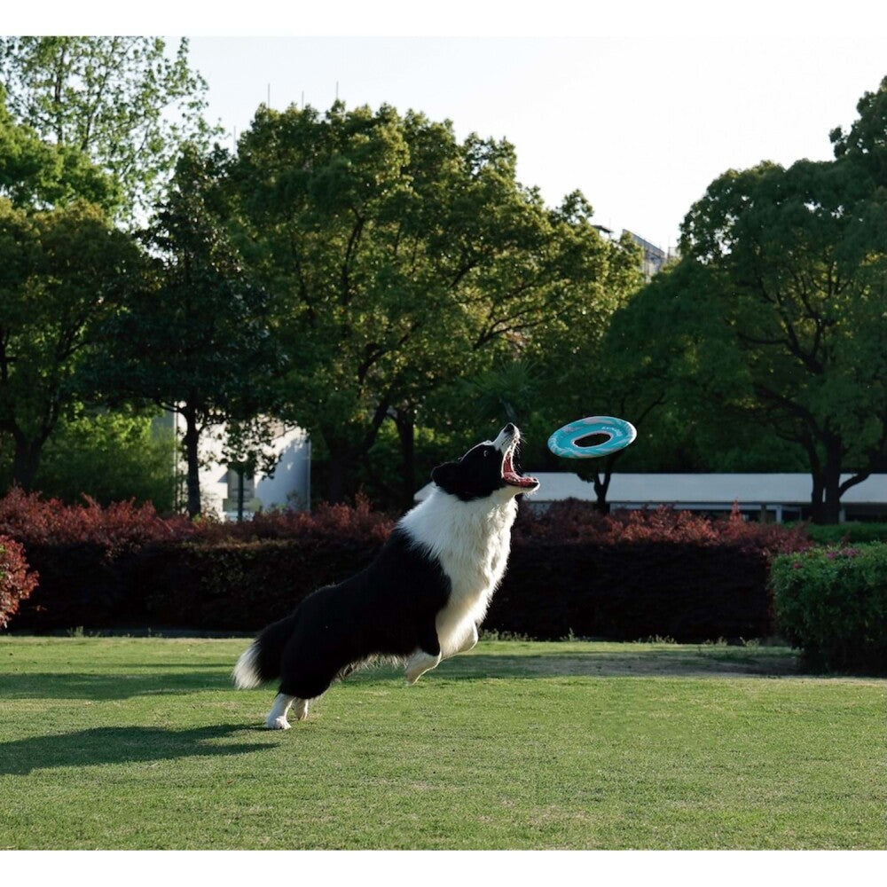 M-Pets Sprintpuff Frisbee Dog Toy Blue 24 cm - Floats on Water