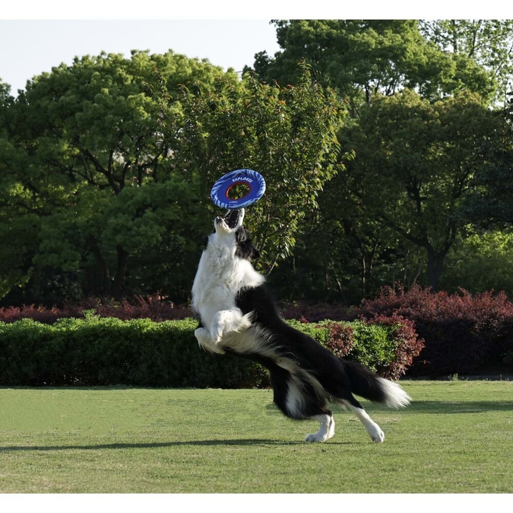 M-Pets Sprintpuff Frisbee Dog Toy, Floating Green, 24 cm