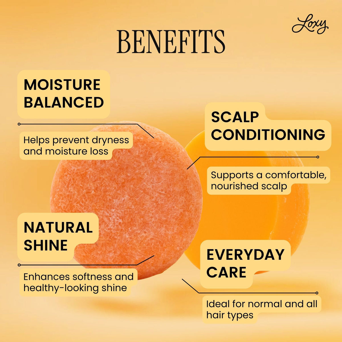 MAINTAIN: Shampoo Bar & Conditioner Bar for growth & shine