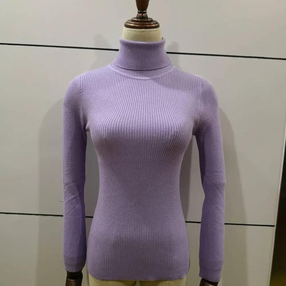 New Elegance Autumn/Winter Knitted Jumper Tops Turtleneck Pullovers Casual Sweaters Women Shirt Long Sleeve Tight Sweater Girls