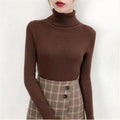 New Elegance Autumn/Winter Knitted Jumper Tops Turtleneck Pullovers Casual Sweaters Women Shirt Long Sleeve Tight Sweater Girls