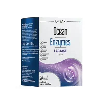 Ocean Enzymes Lactase Drops 20 Ml - Lactase Enzyme Supplement Drops for Lactose Intolerance Relief